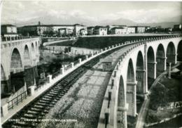 CUNEO  Grande Viadotto Sullo Stura  Binario  Ferrovia - Cuneo