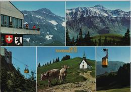 Kronberg - Luftseilbahn Jakobsbad-Kronberg - Blick Auf Das Säntis-Massiv - Kronberg