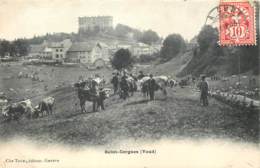 Suisse - Saint Cergues - Une Vue De La Foire En 1906 - Saint-Cergue