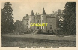 86 Vouneuil Sous Biard, Chateau De La Sablonnière, Cliché Pas Très Courant - Vouneuil Sous Biard