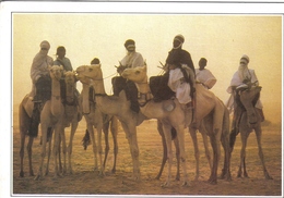 Carte Postale  Niger Teguidda  N'Tessoumt La Cure Salée Très Beau Plan - Niger