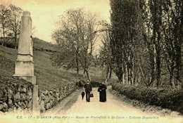 65...HAUTES PYRENEES...ST SAVIN....ROUTE DE PIERREFILLE - Sonstige & Ohne Zuordnung