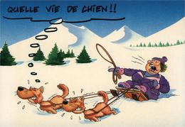 Illustrateur Femme Chien Luge Traineau Humour Neige .....  Quelle Vie De Chien - Zeitgenössisch (ab 1950)