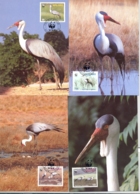 BIRDS, WATTLED CRANE, WWF, CM, MAXICARD, CARTES MAXIMUM, OBLIT FDC, 1987, MALAWI - Grues Et Gruiformes