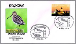 AGACHADIZA COMUN - Common Snipe - Bekassine - Gallinago Gallinago. Oepfershausen 2013 - Obliteraciones & Sellados Mecánicos (Publicitarios)