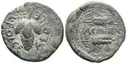 ACINIPO. As. 120-50 A.C. Ronda (Málaga). A/ Racimo De Uvas. L. FOLCE AEDILE. R/ Dos Espigas A Derecha. ACINIPO. FAB-59.  - Celtic