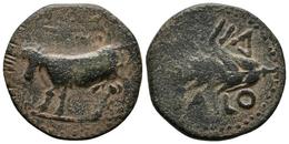 BAILO. Semis. 50 A.C. Tarifa (Cádiz). A/ Toro A Izquierda, Encima Estrella Y Creciente Con Punto Central. R/ Espiga Tumb - Keltische Münzen