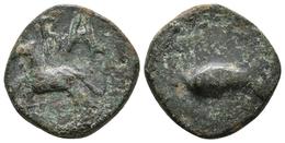 BALSA. Cuadrante. 50 A.C. Tavira (Portugal). A/ Caballo A Izquierda, Encima BALS. R/ Atún A Izquierda. FAB-197. Ae. 3,48 - Keltische Münzen