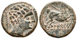 ILTIRCES. Semis. 200-180 A.C. Solsona (Lleida). A/ Cabeza Masculina A Derecha, Detrás Espiga. R/ Caballo A Derecha, Deba - Keltische Münzen