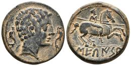 SECAISA. As. 120-20 A.C. Segeda (Aragón). A/ Cabeza Masculina A Derecha Entre Dos Delfines. R/ Jinete Con Lanza A Derech - Keltische Münzen