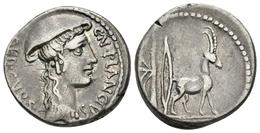 CN. PLANCIUS. Denario. 55 A.C. Roma. A/ Busto De Diana Planciana A Derecha Con Petasus. CN PLANCIUS AED CUR SC. R/ Cabra - Republic (280 BC To 27 BC)