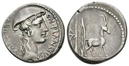 CN. PLANCIUS. Denario. 55 A.C. Roma. A/ Busto De Diana Planciana A Derecha Con Petasus. CN PLANCIUS AED CUR SC. R/ Cabra - Röm. Republik (-280 / -27)