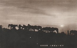 Rare Cpa Japon Années 50 Lieu Inconnu Belle Animation Chevaux - Nagoya