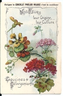 Chromos Chocolat Poulain Orange Série Les Fleurs N°6 Capucines Et Pelargoniums - Poulain