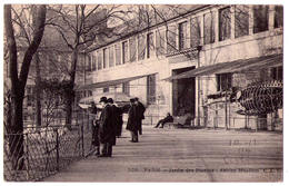 3353 - Paris 5e - Jardin Des Plantes - Ancien Muséum - C.L.C. - N°508 - - District 05