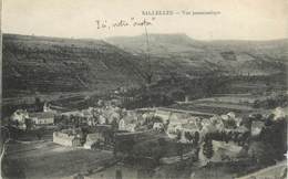 CPA FRANCE 11 "Sallèles D'Aude, Vue Panoramique". - Salleles D'Aude