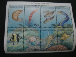 Comoros  1999 Marine Life  Sheetlet  SCOTT No.886 I201807 - Comores (1975-...)