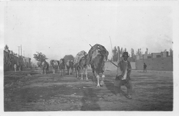 ¤¤   -  IRAN  -   Carte-Photo D'une Caravane De Chameaux En PERSE   -  Chamelier   -  ¤¤ - Iran