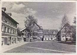 Gottlieben Am Untersee - Gasthof Rheineck 1951 - Gottlieben