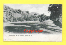 DOMINICA - BOTANICAL STATION 1915 (DOMINIQUE) - Botanical Gardens - Dominique