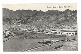 ADEN  -  View Of Camel Market Town   -  L 1 - Yémen