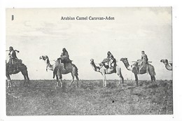 ADEN  -   YEMEN  - Arabian Camel Caravan - Aden   -  L 1 - Yémen