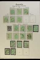 POSTAGE DUES 1902-1913 FINE USED COLLECTION In Hingeless Mounts On Pages, Inc 1902 Set To 6d, 1902-04 All Values (ex ½d) - Altri & Non Classificati