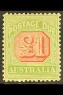 POSTAGE DUES 1909 £1 Rosine And Yellow Green, SG D73, Very Fine Mint, Gum Lightly Toned. For More Images, Please Visit H - Autres & Non Classés