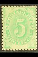 POSTAGE DUES 1902 5s Emerald Green, White Space At Foot, SG D8, Very Fine Mint. For More Images, Please Visit Http://www - Autres & Non Classés