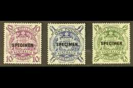SPECIMENS 1948-56 10s, £1 & £2 High Values, Overprinted "SPECIMEN," SG 224bs/ds, Never Hinged Mint (3 Stamps). For More  - Other & Unclassified