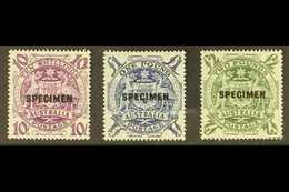 SPECIMENS 1948-56 10s, £1 & £2 High Values, Overprinted "SPECIMEN," SG 224bs/ds, Never Hinged Mint (3 Stamps). For More  - Andere & Zonder Classificatie