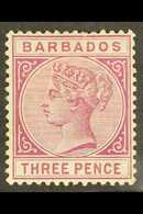 1882-86 3d Deep Purple, SG 95, Mint, Few Nibbled Perfs. For More Images, Please Visit Http://www.sandafayre.com/itemdeta - Barbados (...-1966)