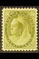1898 20c Olive Green, SG 165, Very Fine Mint , Large Part Og, Well Centered With Sharp Impression And Full Colour. For M - Other & Unclassified