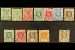 1900-1907 FINE MINT GROUP Incl. 1900 ½d Shades & 1d, 1902-3 ½d To 2½d & 6d, 1905 ½d, 1d, 6d & 1s, 1907 4d, Between SG 1/ - Cayman (Isole)