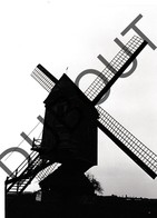 Geel - Elsum Molen/Moulin Originele Foto E7 - Geel