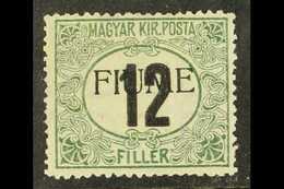 POSTAGE DUES 1918 12f Green And Black , Sassone 2, Fresh Mint. Scarce Stamp With Raybaudi 2007 Photo Certificate. For Mo - Fiume