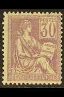 1900 30c Mauve Mouchon (Yvert 115, SG 299), Never Hinged Mint, Centred To Right, Very Fresh. For More Images, Please Vis - Altri & Non Classificati