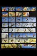 1995-1999 SUPERB NEVER HINGED MINT COLLECTION On Stock Pages, ALL DIFFERENT, Includes 1995 Prehistoric Animals Colour Im - Other & Unclassified