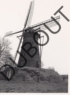 Pulderbos Molen/Moulin Originele Foto E8 - Zandhoven