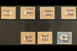 VENEZIA GIULIA POSTAGE DUES 1918 Overprint Set Complete, Sass S4, Very Fine Never Hinged Mint. Cat €2500 (£1900) Rare Se - Sin Clasificación