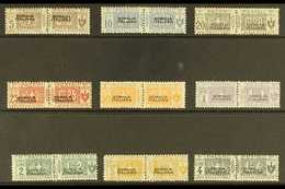 SOMALIA PARCEL POST 1917-19 Overprints Complete Set (Sassone 1/9, SG P23/31), Fine Mint Horizontal Pairs, The Key 20c &  - Autres & Non Classés