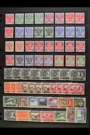 KELANTAN 1911-1971 MINT / NHM ASSEMBLY Presented On Stock Pages. Includes 1911-15 MCA Range To $5, 1921-28 MSCA Range To - Andere & Zonder Classificatie