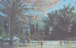Savannah North - Queen Park 1974 - Savannah