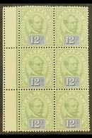 1888-97 12c Green & Blue, SG 16, Mint Marginal Block Of 6 With Some Light Gum Tone Spots. Good Colour (1 Block Of 6) For - Sarawak (...-1963)