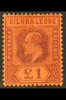 1903 £1 Purple/red, SG 85, Very Fine Mint For More Images, Please Visit Http://www.sandafayre.com/itemdetails.aspx?s=631 - Sierra Leone (...-1960)