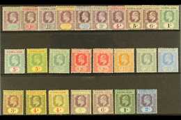 1904-12 MINT KEVII SELECTION Presented On A Stock Card That Includes 1904-05 Set To 1s & 5s And 1907-12 Set To 5s. A Mos - Sierra Leone (...-1960)