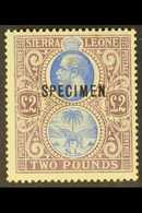 1912-21 £2 Blue & Dull Purple, SPECIMEN Overprinted, SG 129s, Fine Mint For More Images, Please Visit Http://www.sandafa - Sierra Leone (...-1960)