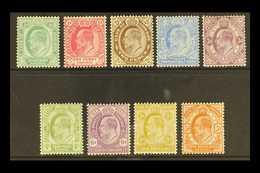 CAPE OF GOOD HOPE 1902-04 KEVII Definitives, Complete Set, SG 70/8, 3d More Heavily Hinged, Others Fine Mint (9 Stamps). - Unclassified