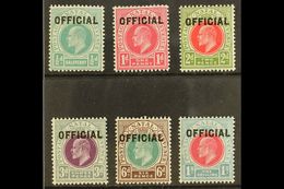 NATAL OFFICIALS 1904 Ed VII Set, SG O1/6, Very Fine Mint (½d Couple Tone Spots). (6 Stamps) For More Images, Please Visi - Non Classés