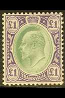 TRANSVAAL 1904-09 £1 Green & Violet, Wmk Mult Crown CA, Chalk-surfaced Paper, SG 272a, Very Fine Mint. For More Images,  - Non Classificati
